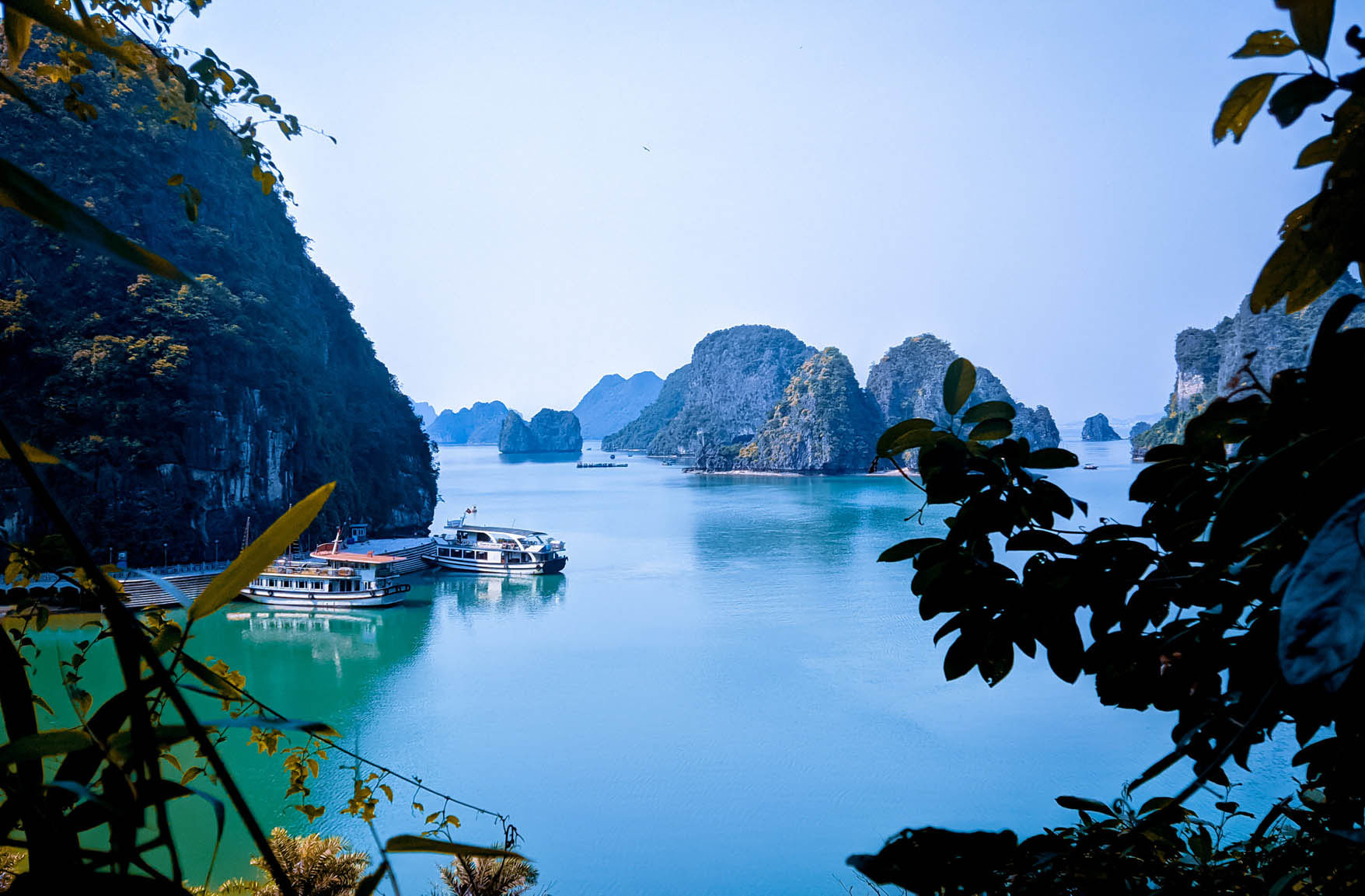 Du lịch Hạ Long