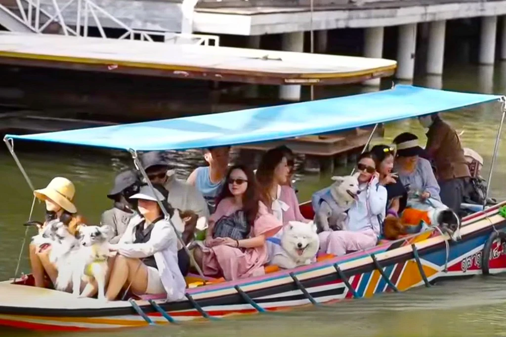 Thú cưng du lịch