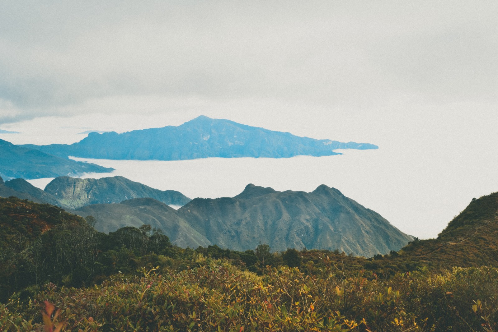 Những cung đường trekking đẹp nhất Việt Nam