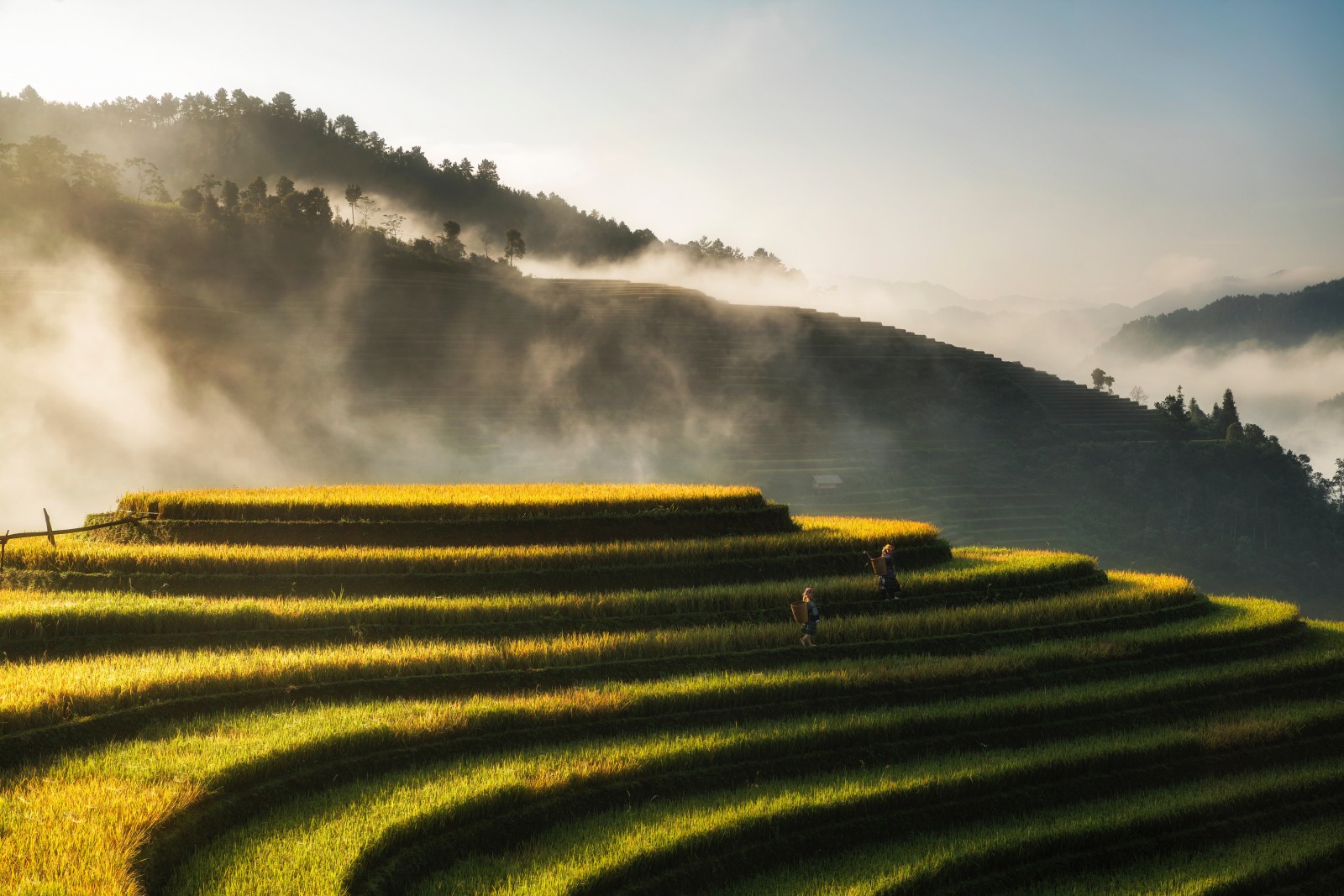 Những cung đường trekking đẹp nhất Việt Nam