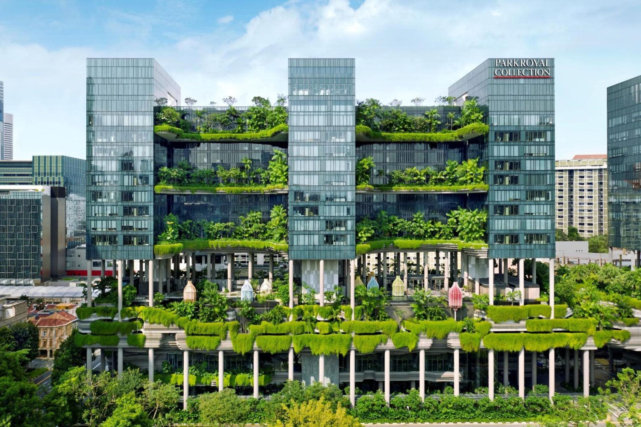 Không gian kiến trúc dây leo