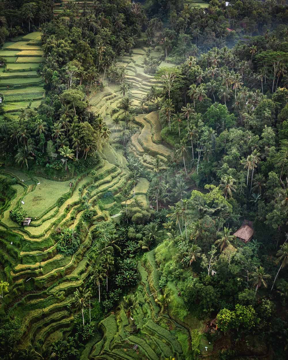 Đảo Bali