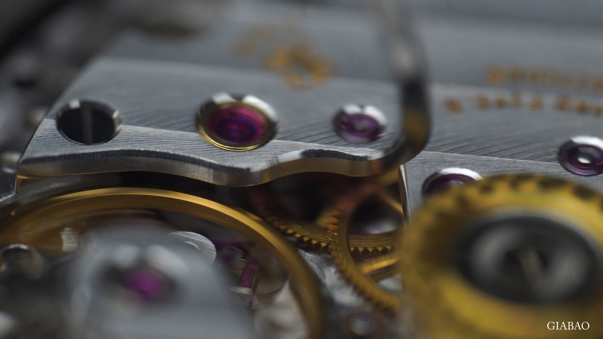 z4795306021374-37687ac78d046599029908d0962a3f38.jpg?v=1697685642206