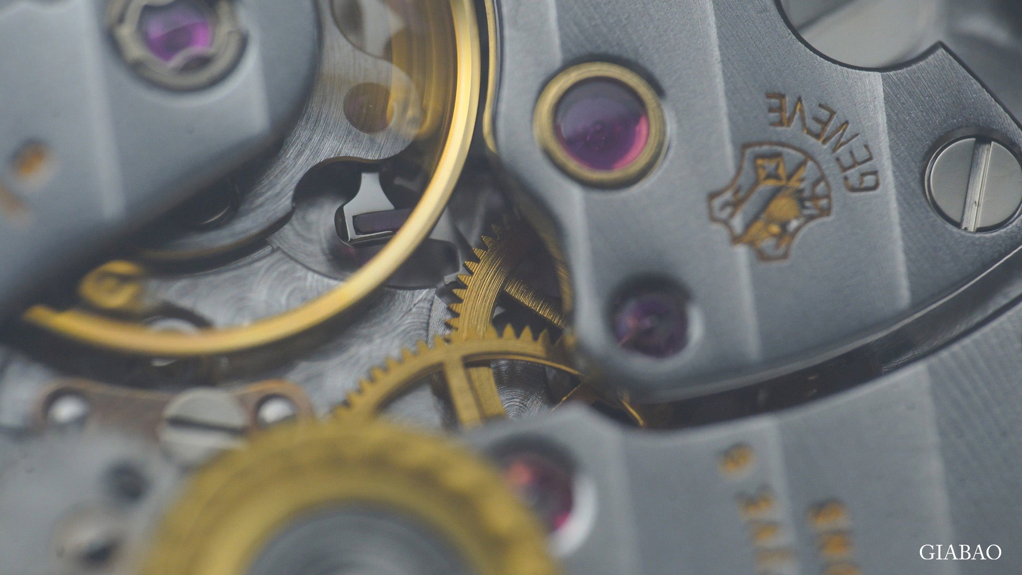 z4795306025790-9168f181508e284fe3778e0b32142d58.jpg?v=1697685640197