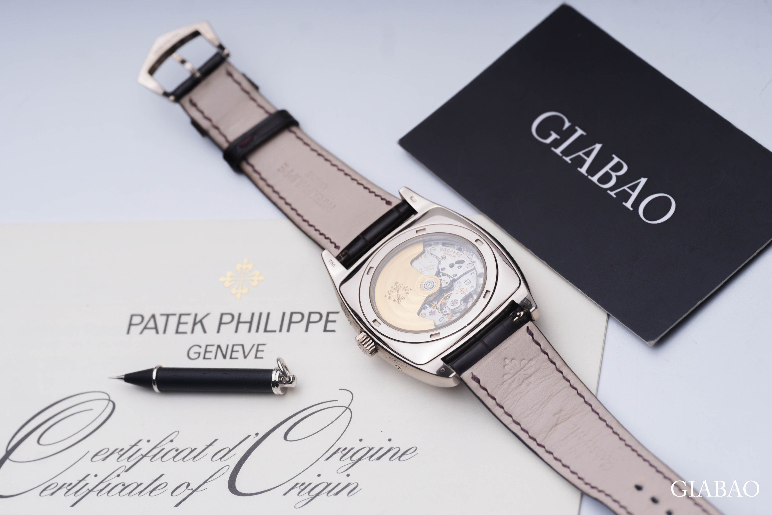 z4795306464352-a2833b5ffeeeed87a92af3bb09cfac53.jpg?v=1697685283010