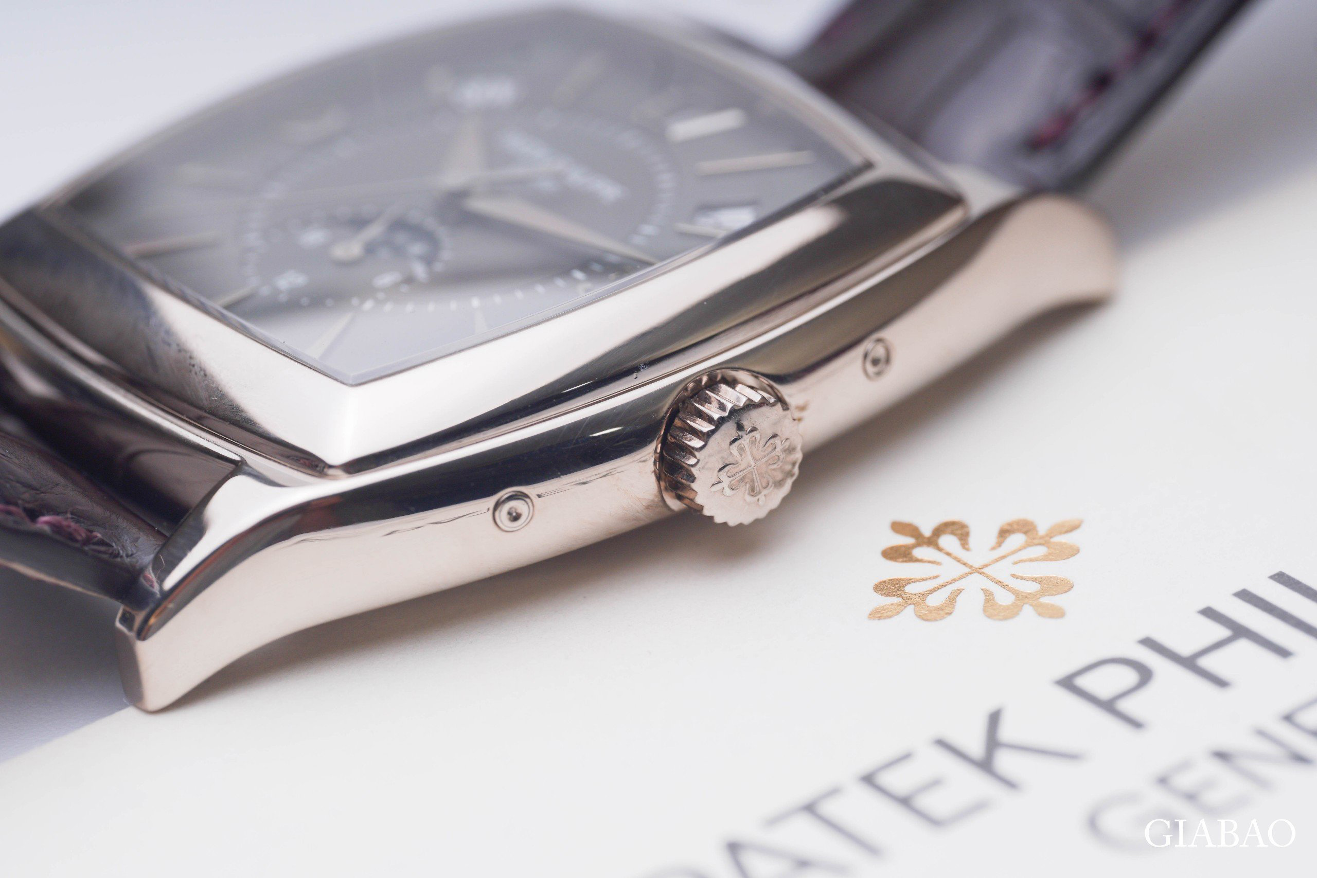 z4795306465067-514f6beaf5daad02fb4557f00257255a.jpg?v=1697685276773