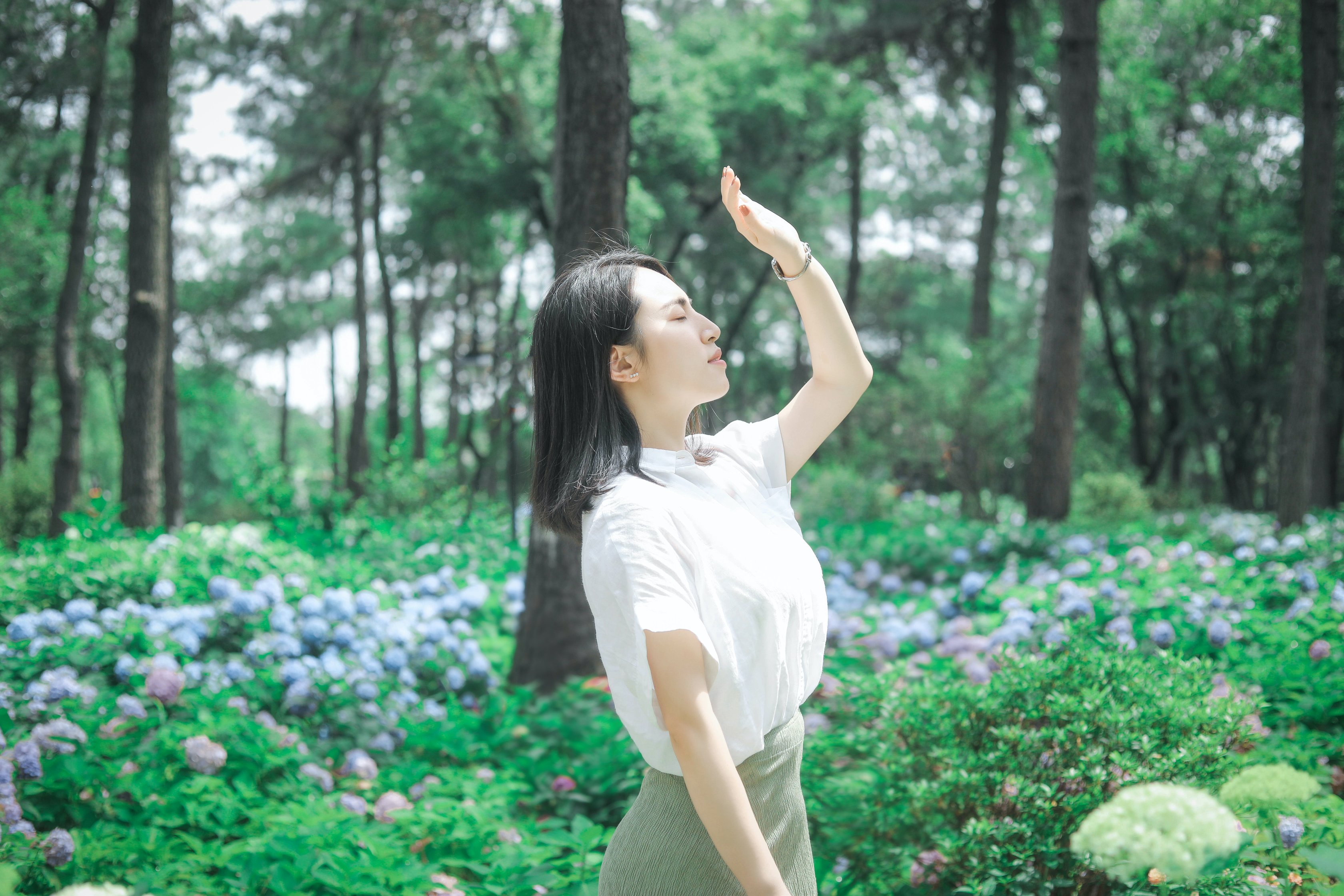 Tắm rừng là gì