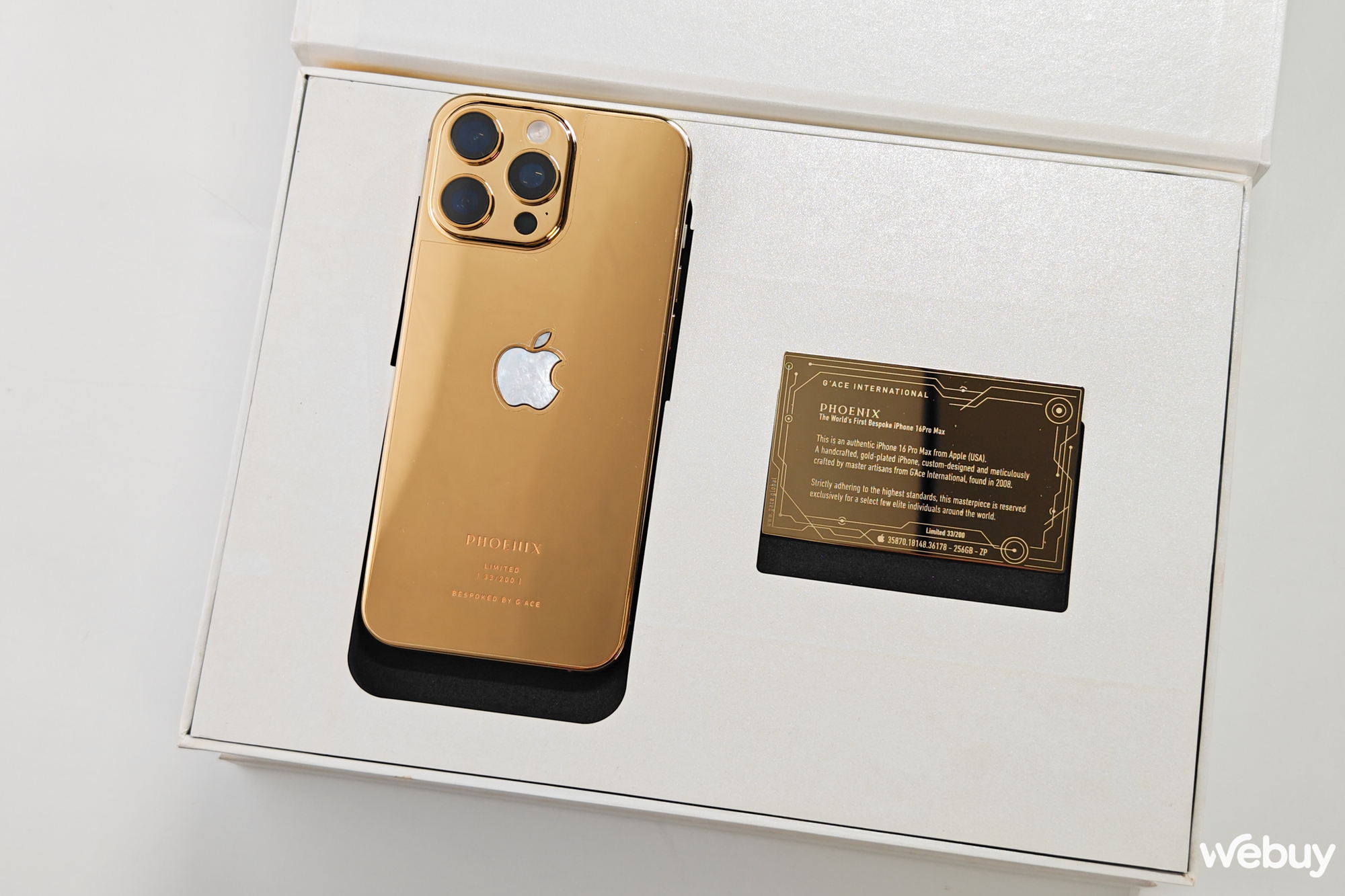 iPhone 16 Pro Max