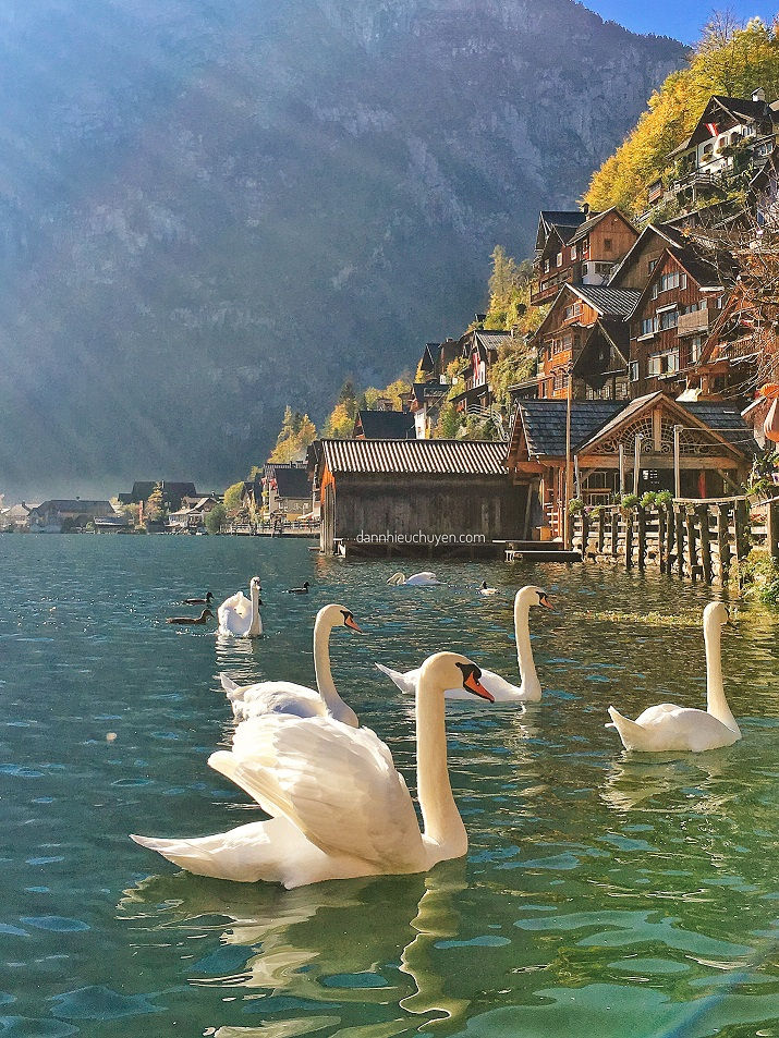 Làng cổ Hallstatt