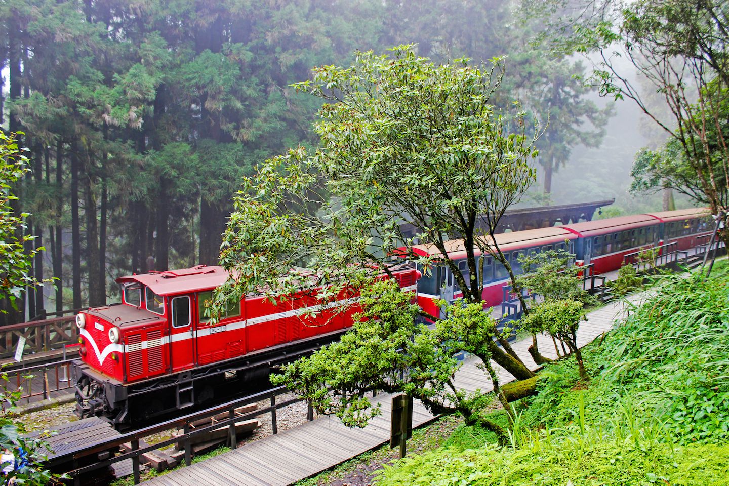 Tàu hỏa đỏ cổ