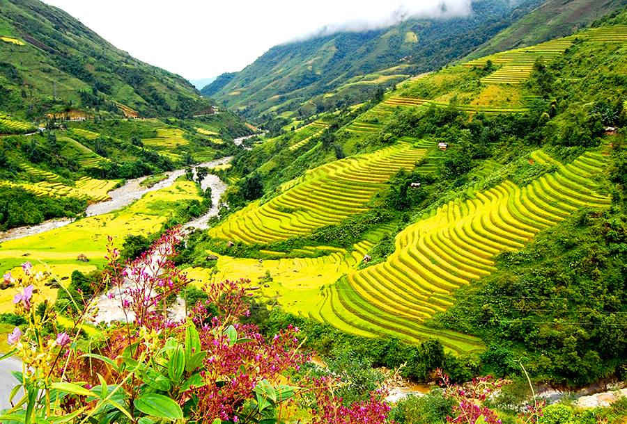 Du lịch Hạ Long