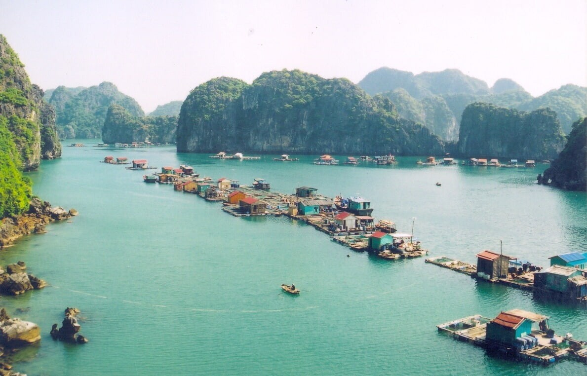 Du lịch Hạ Long