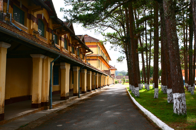 Cao đẳng Sư phạm Đà Lạt