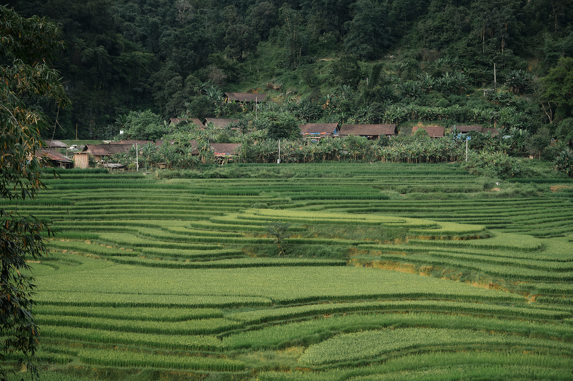 Du lịch Cao Bằng
