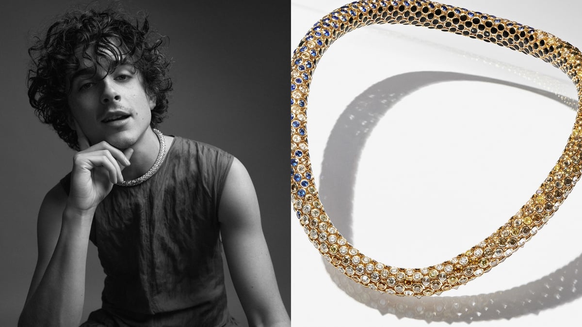 Timothée Chalamet: Chàng thơ kiểu mới của Cartier