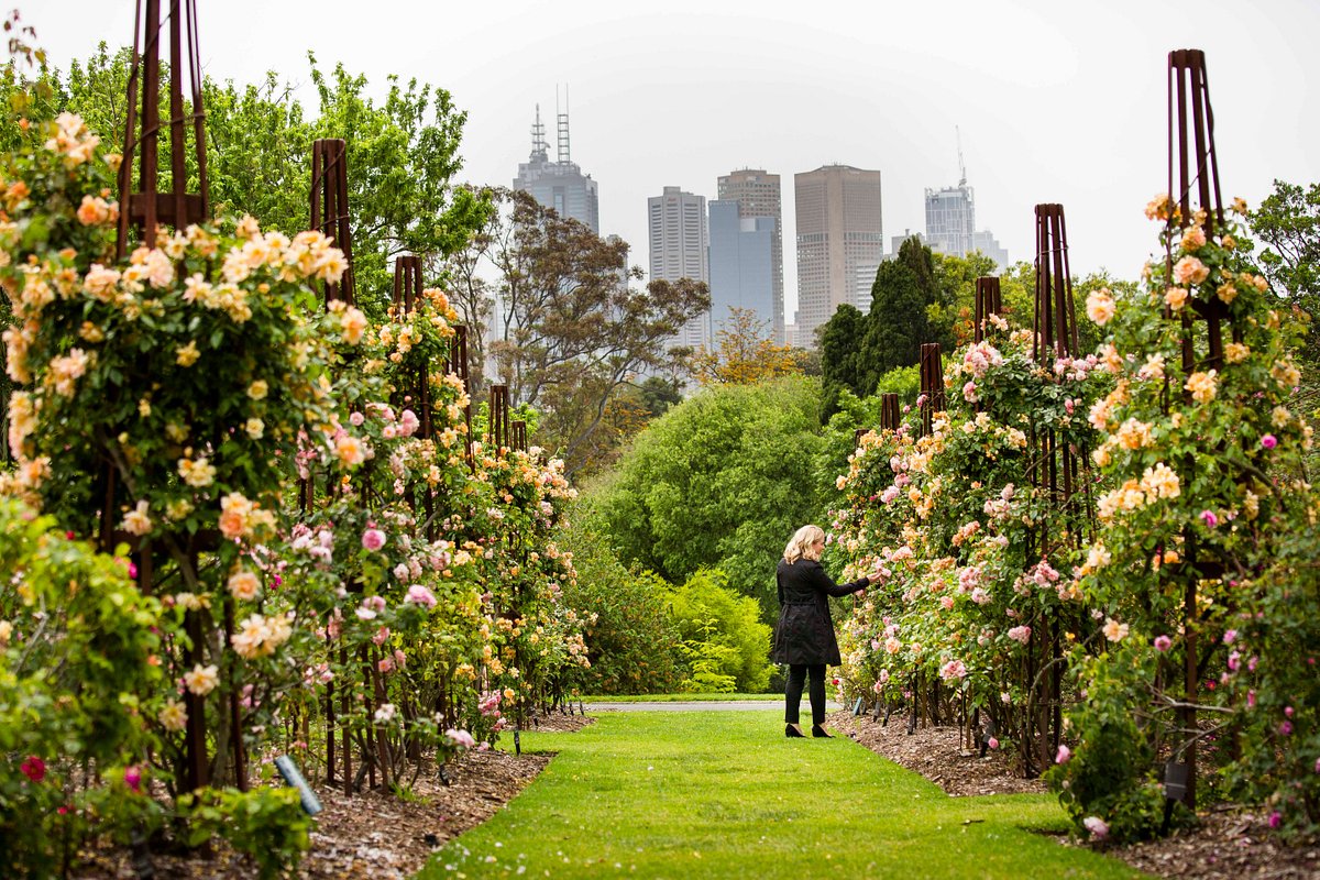 Kinh nghiệm du lịch Melbourne chi tiết cho người mới