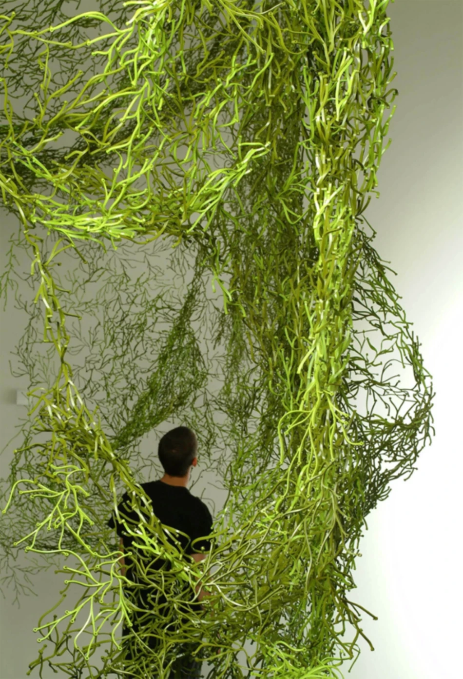 Thiên nhiên trong thiết kế: Nghệ thuật, thiết kế, công nghệ hòa quyện tại Biophilia