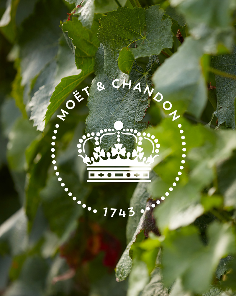Moët & Chandon – Đẳng cấp Champagne Pháp tôn vinh mùa lễ hội