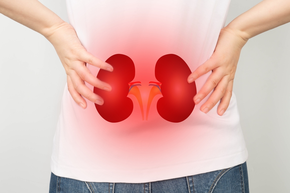 Những thực phẩm bổ thận giúp cơ thể tràn đầy sức sống và năng lượng
