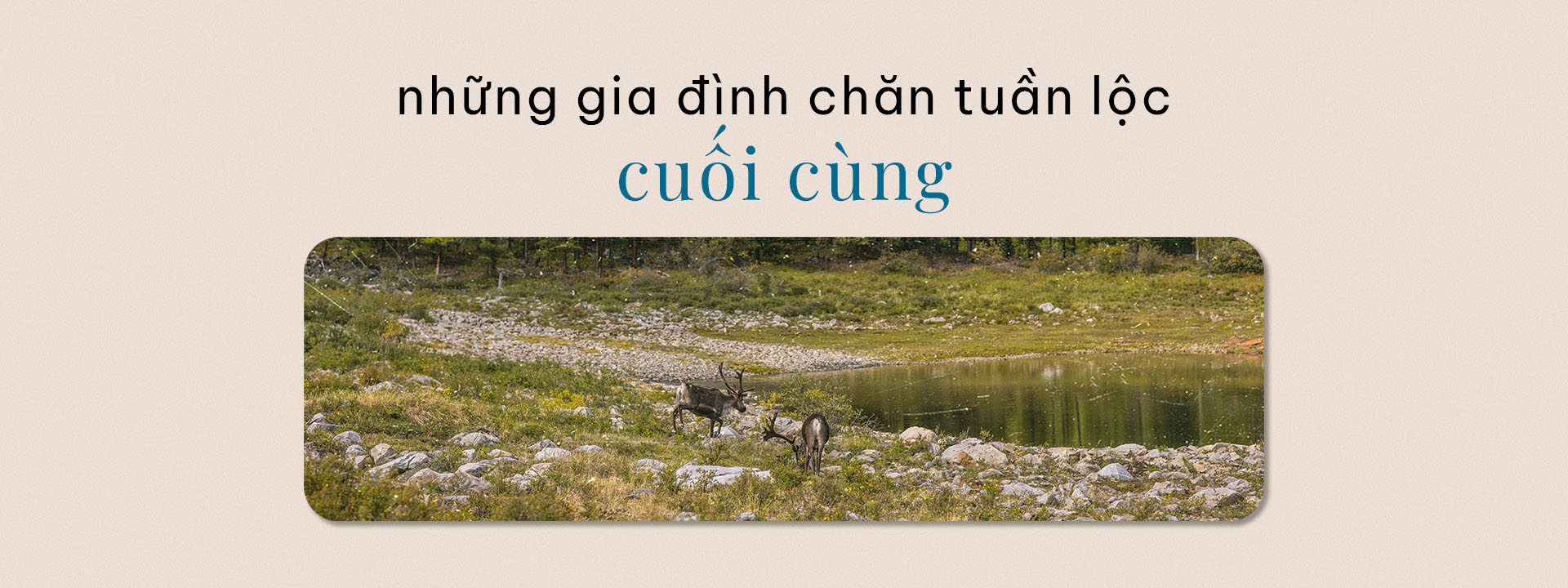 Trải nghiệm một mùa hè ở Mông Cổ