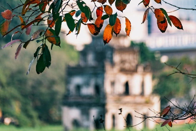 Chẳng ngờ sau một đêm ngủ say mà Hà Nội đã khoác màu áo mới