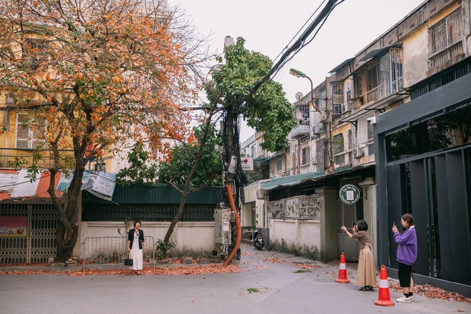 Chẳng ngờ sau một đêm ngủ say mà Hà Nội đã khoác màu áo mới