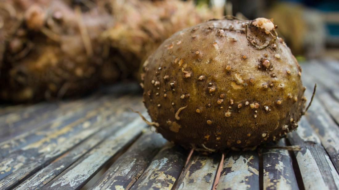 Konjac là gì: Món ăn kiêng thay cơm không calorie thần thánh