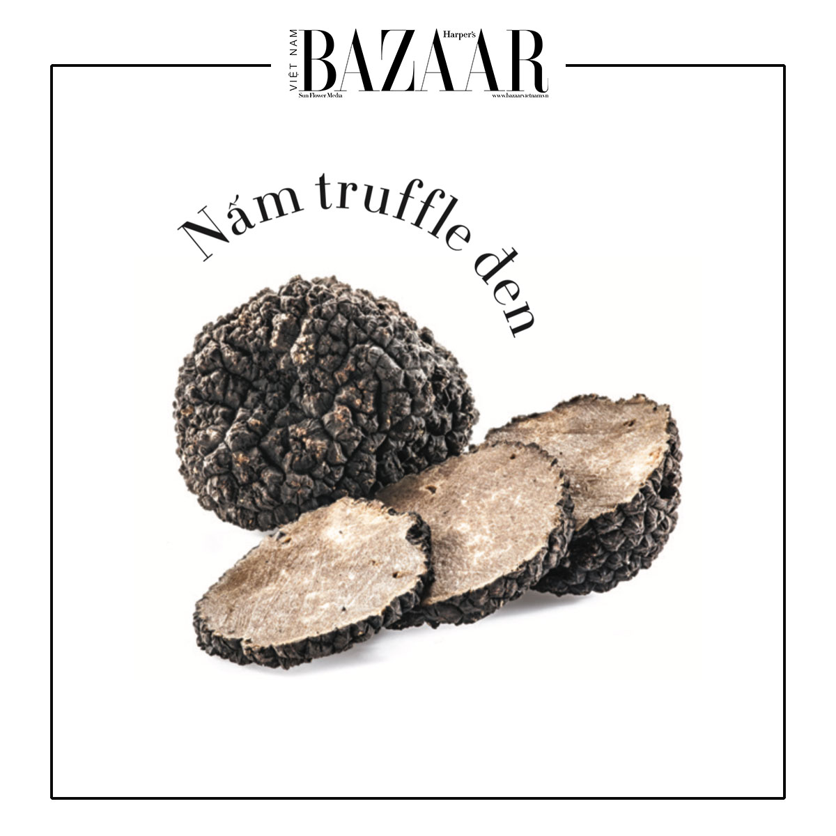 Nấm Truffle là gì và vì sao món ăn này đắt hơn vàng?