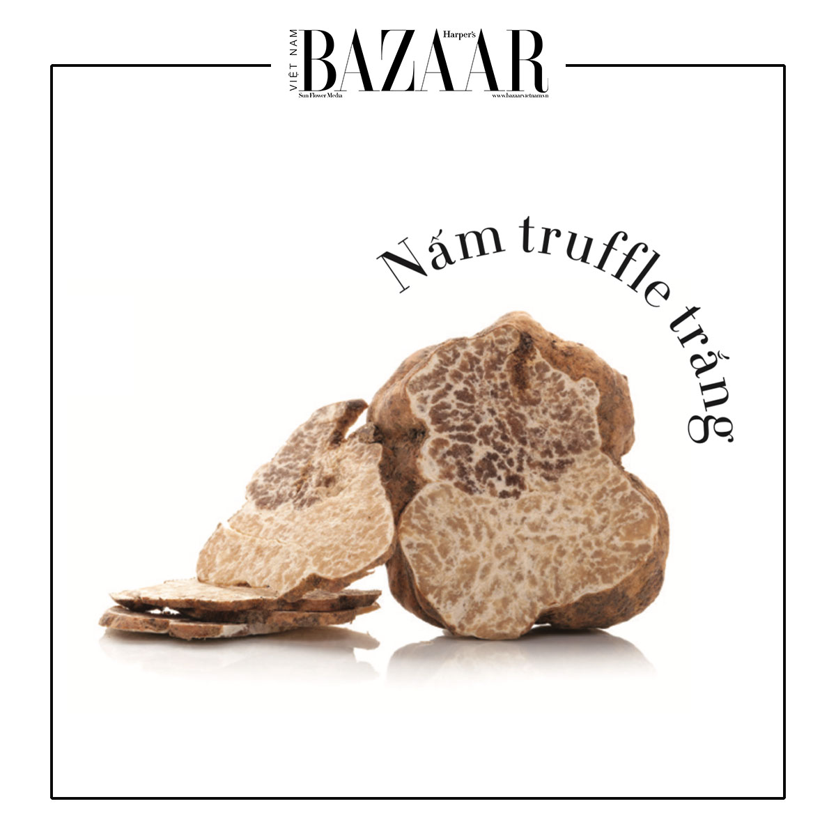 Nấm Truffle là gì và vì sao món ăn này đắt hơn vàng?