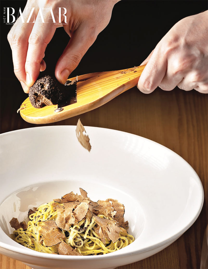 Nấm Truffle là gì và vì sao món ăn này đắt hơn vàng?