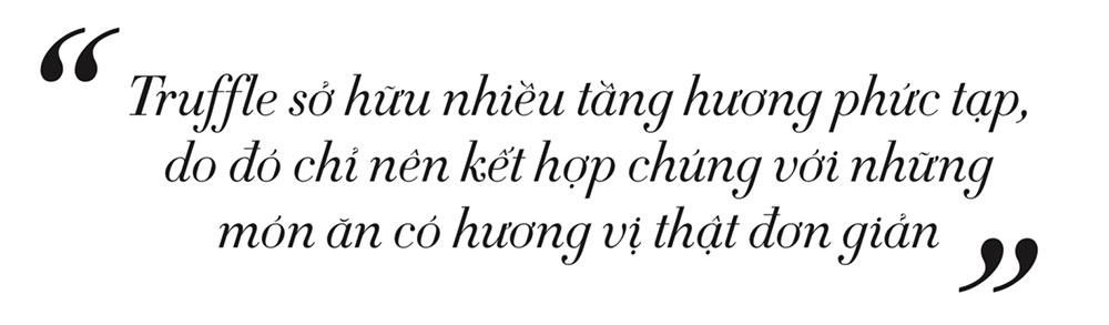 Nấm Truffle là gì và vì sao món ăn này đắt hơn vàng?