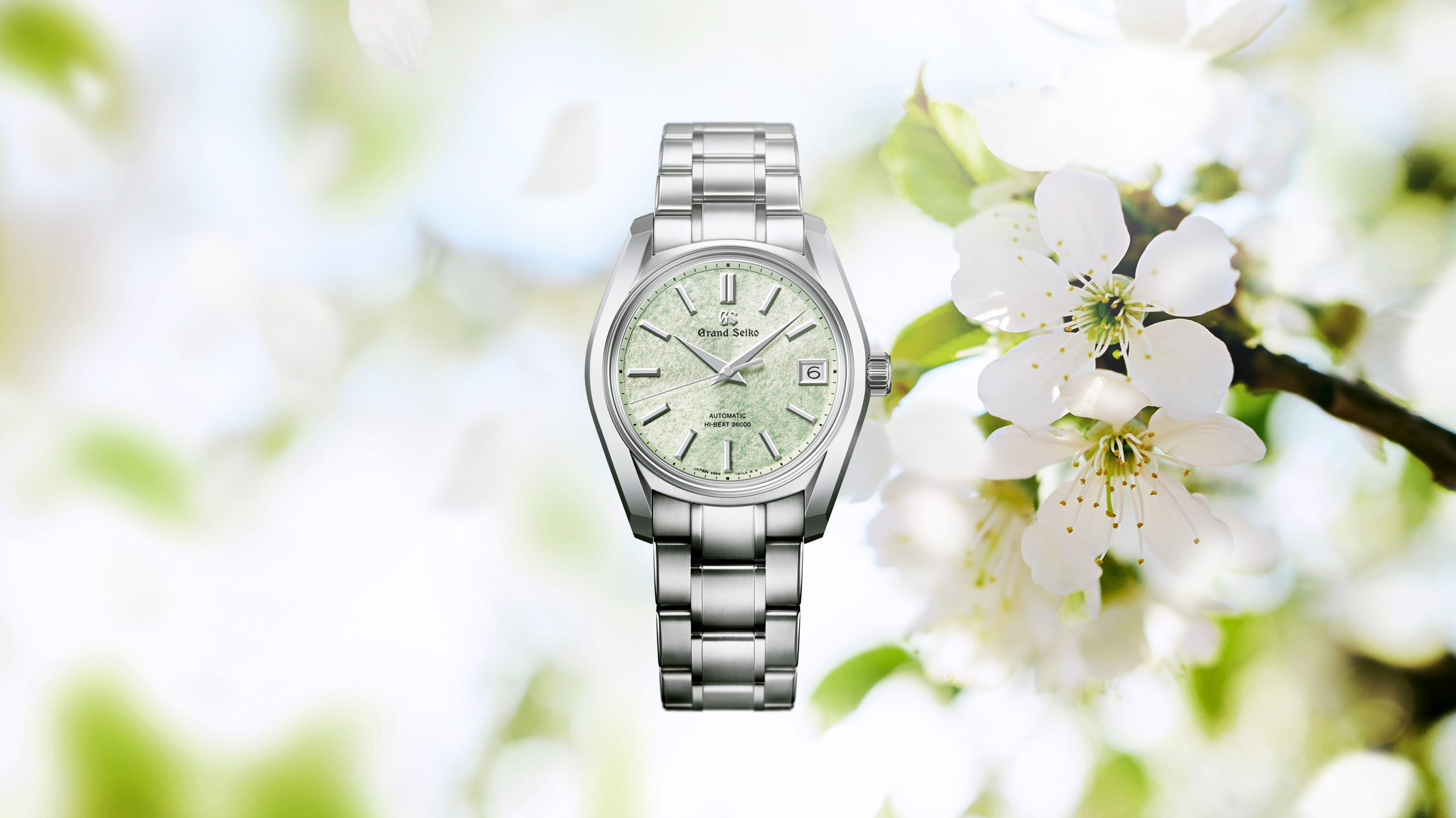 Grand Seiko Hi-Beat 36000 SBGH341G & SBGH343G - Sắc anh đào phủ kín dòng thời gian