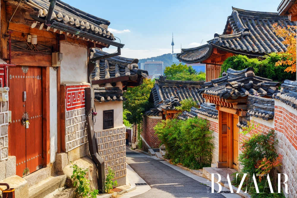 Du lịch Hàn Quốc mùa nào đẹp? Khám phá xứ sở kim chi