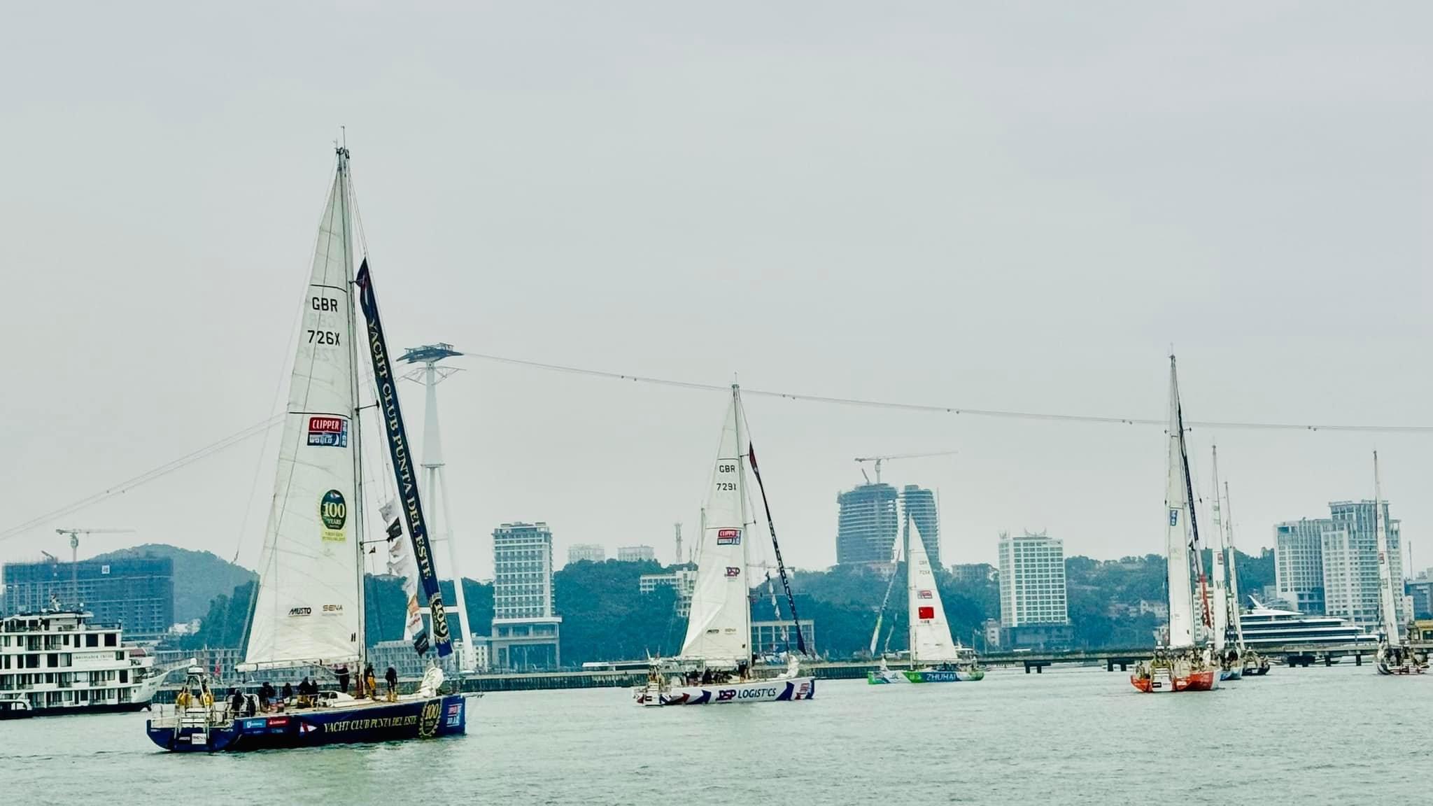 Đoàn đua thuyền buồm Clipper Race