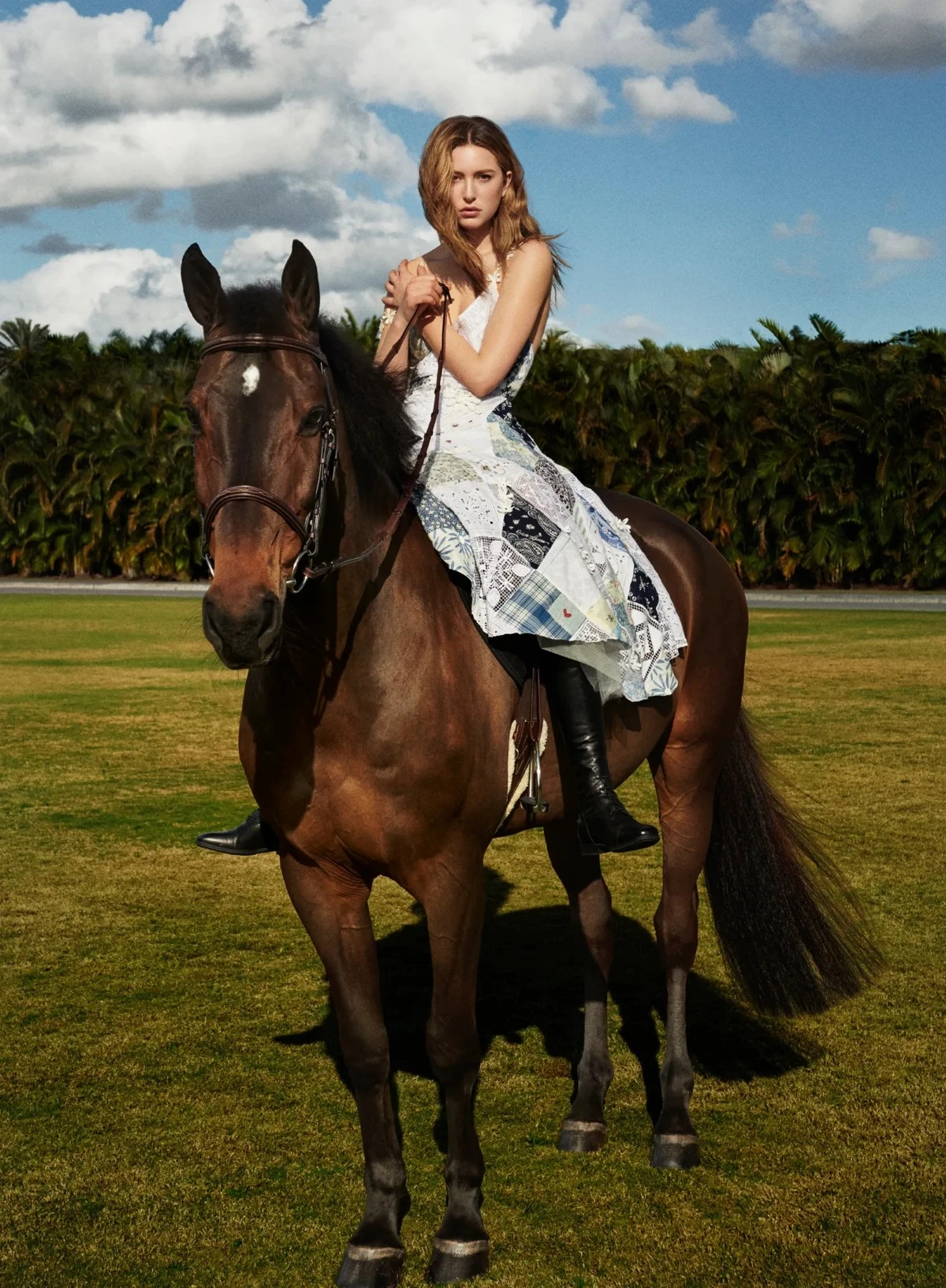 giống ngựa quý Akhal-Teke