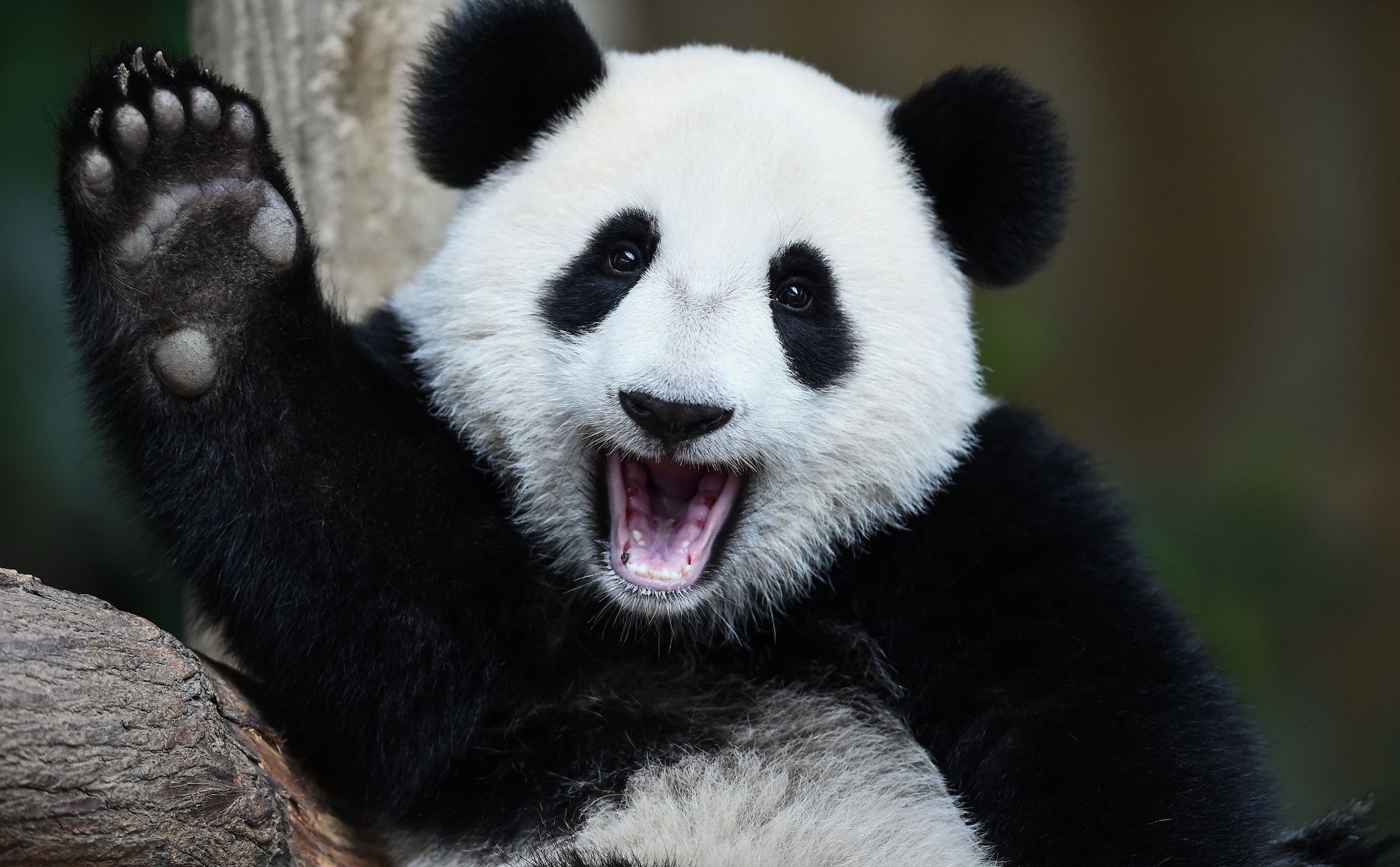 Du lịch Cửu Trại Câu tứ xuyên