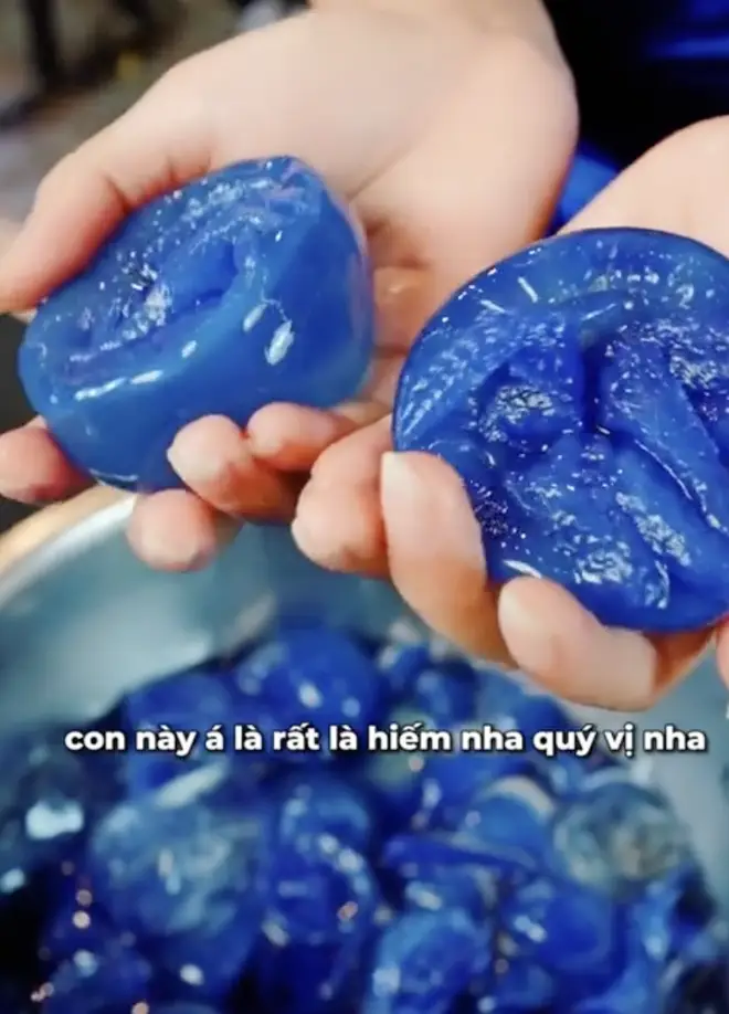 Con nuốc là con gì? Tìm hiểu về con nuốc Huế