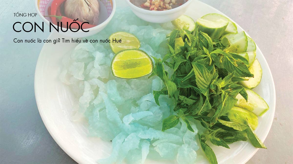Con nuốc là con gì? Tìm hiểu về con nuốc Huế