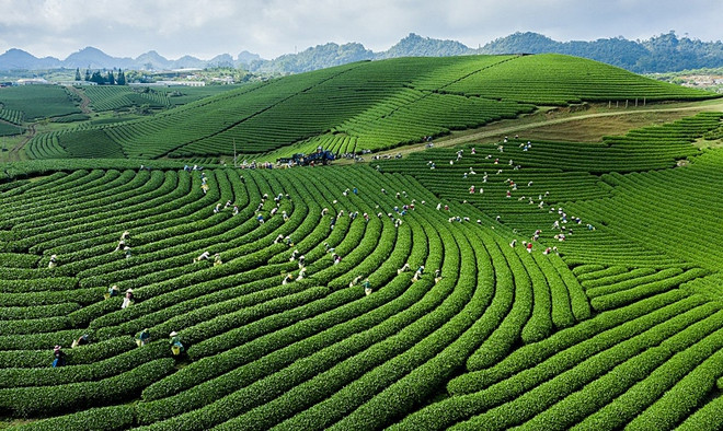 10 điểm du lịch cho mùa hè 2024 ở Việt Nam
