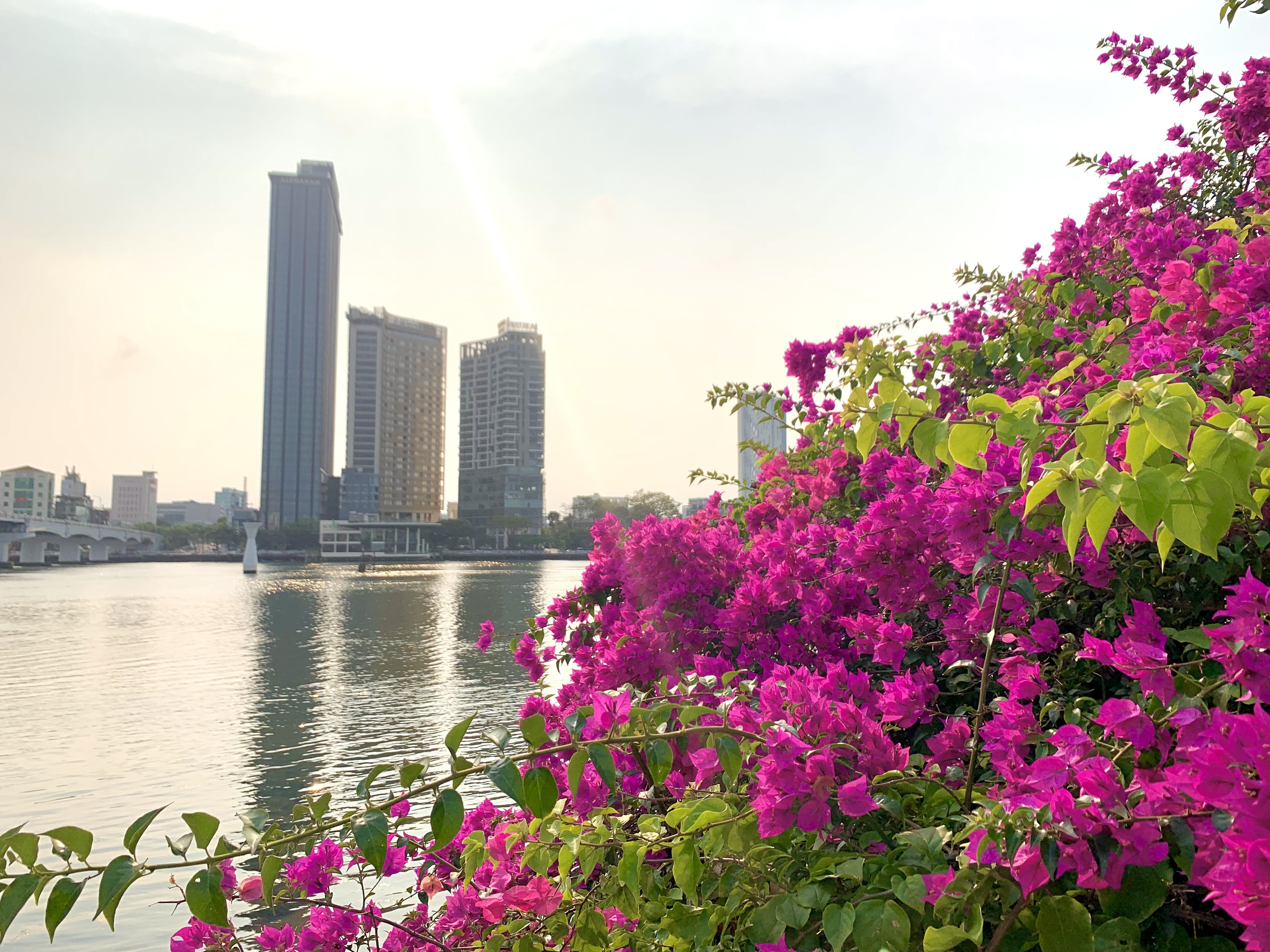 Điểm check-in thu hút giới trẻ tại Đà Nẵng