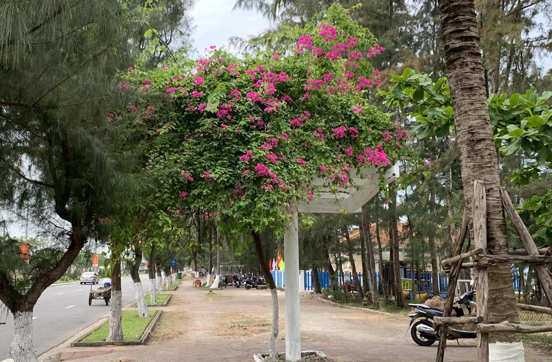 Điểm check-in thu hút giới trẻ tại Đà Nẵng