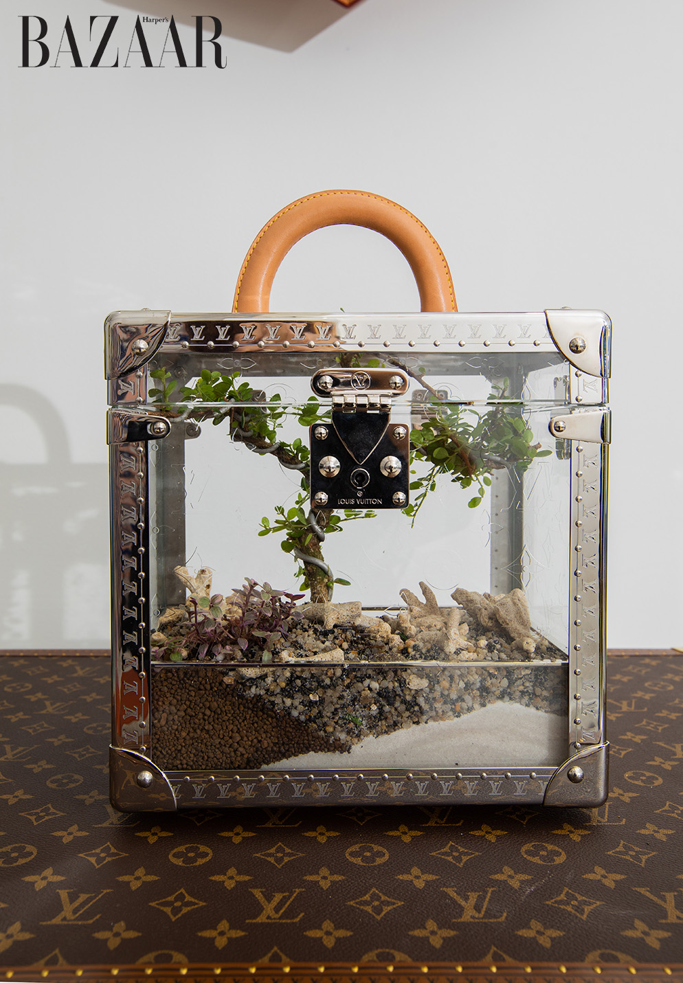 Sưu tầm rương Louis Vuitton: Lối sống xa hoa của giới thượng lưu