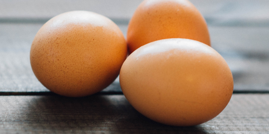 Loài gà khổng lồ mệnh danh "Vua gà", giá cực đắt 30 triệu/cặp