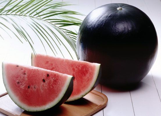 Món ăn đắt nhất thế giới