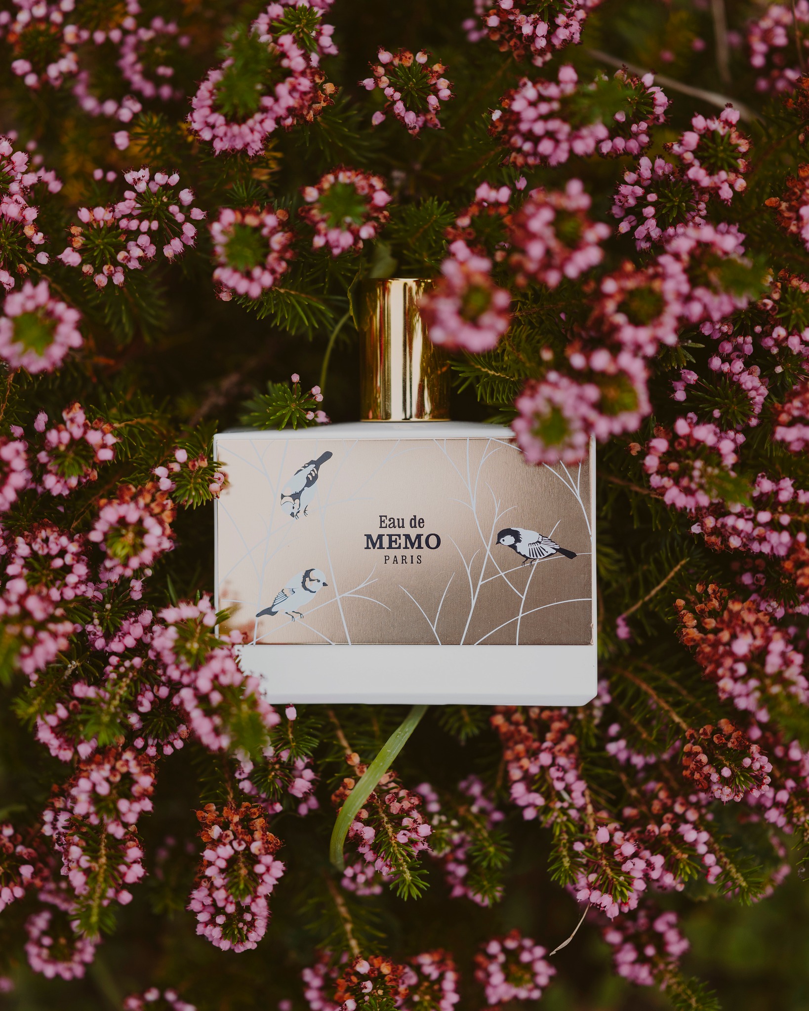 nước hoa nữ MEMO PARIS