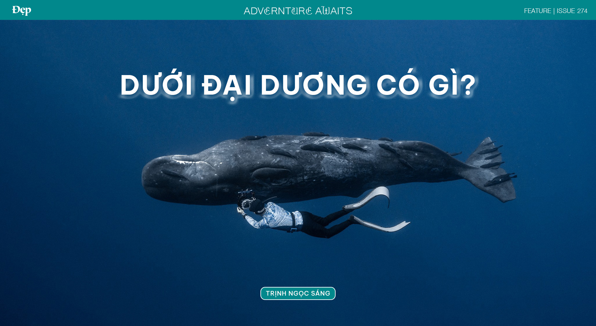 Từ Maldives đến Madagascar: Vạn dặm dưới đáy đại dương