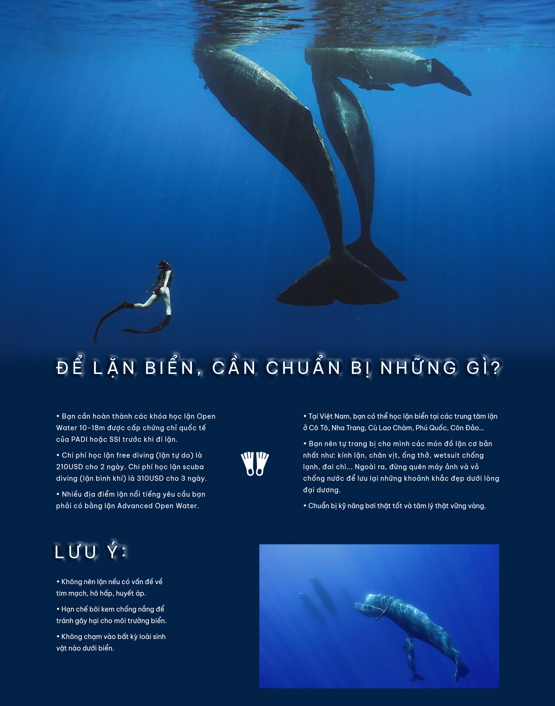 Từ Maldives đến Madagascar: Vạn dặm dưới đáy đại dương