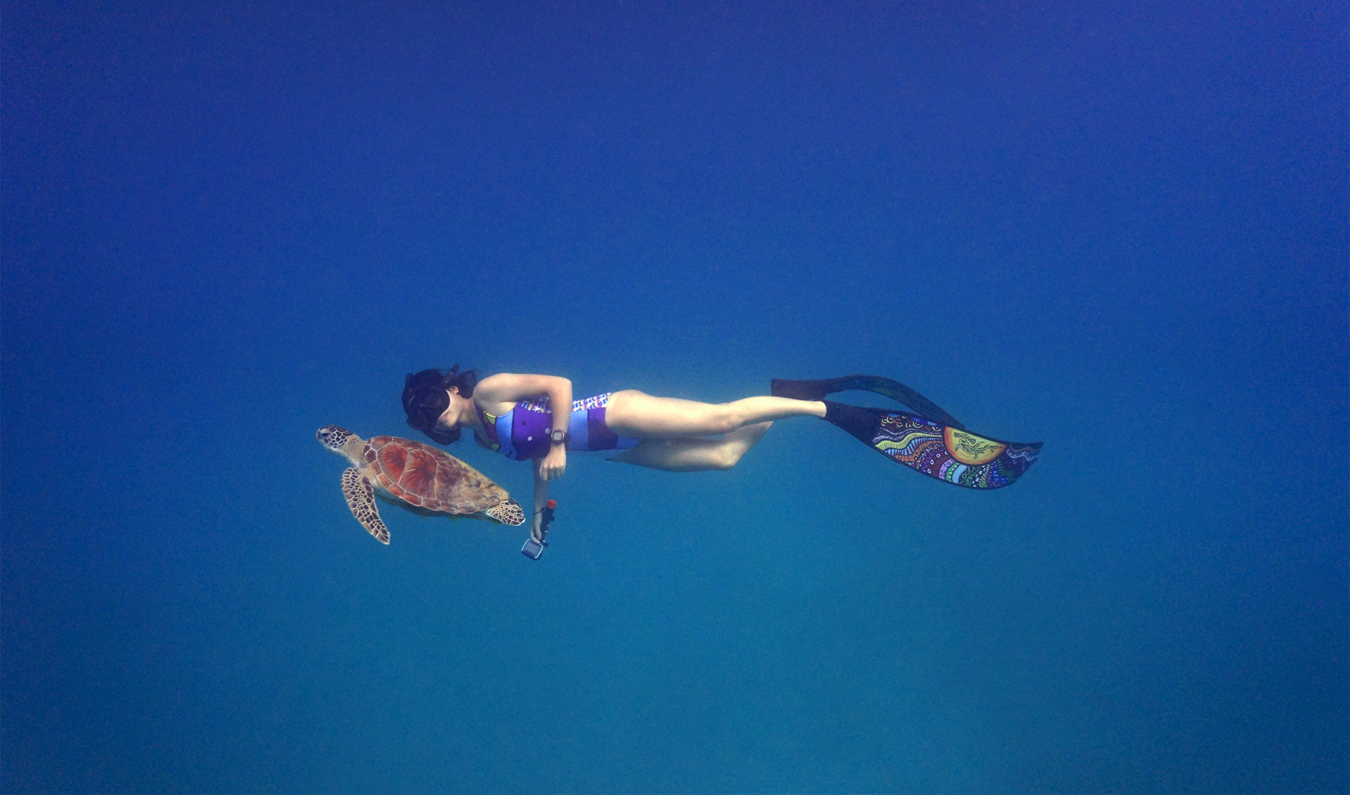 Từ Maldives đến Madagascar: Vạn dặm dưới đáy đại dương