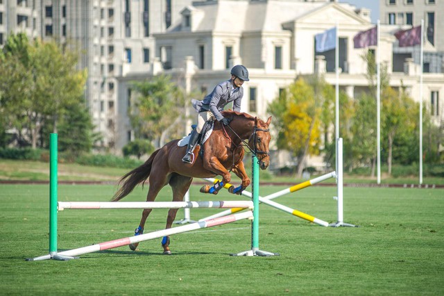 học phí môn Polo