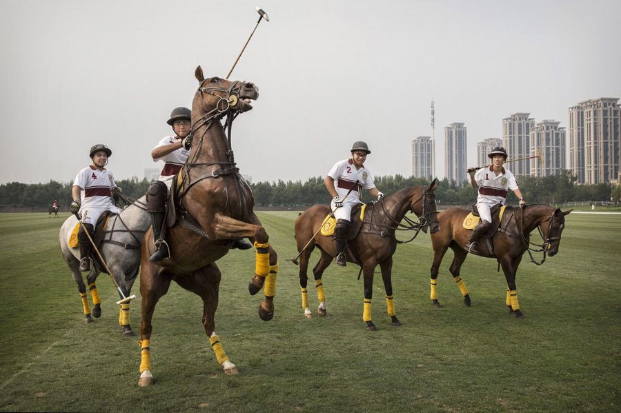 học phí môn Polo